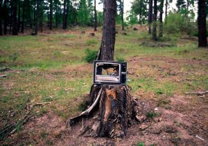 Image © Scott Wishart, 2017