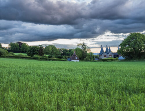 This is Platt – 31 May 2025