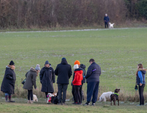 This is Platt – 4 January 2026