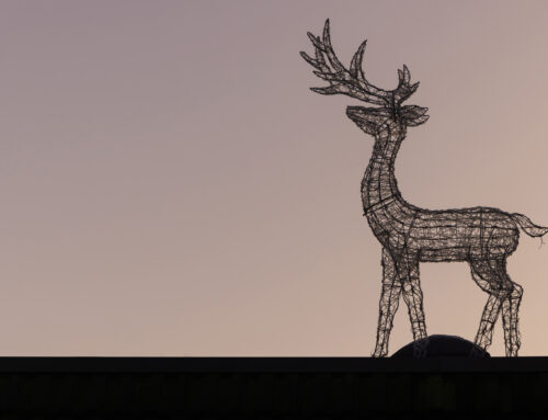 This is Platt – 19th December 2025