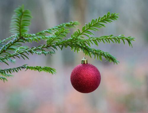 This is Platt – 25 December 2025