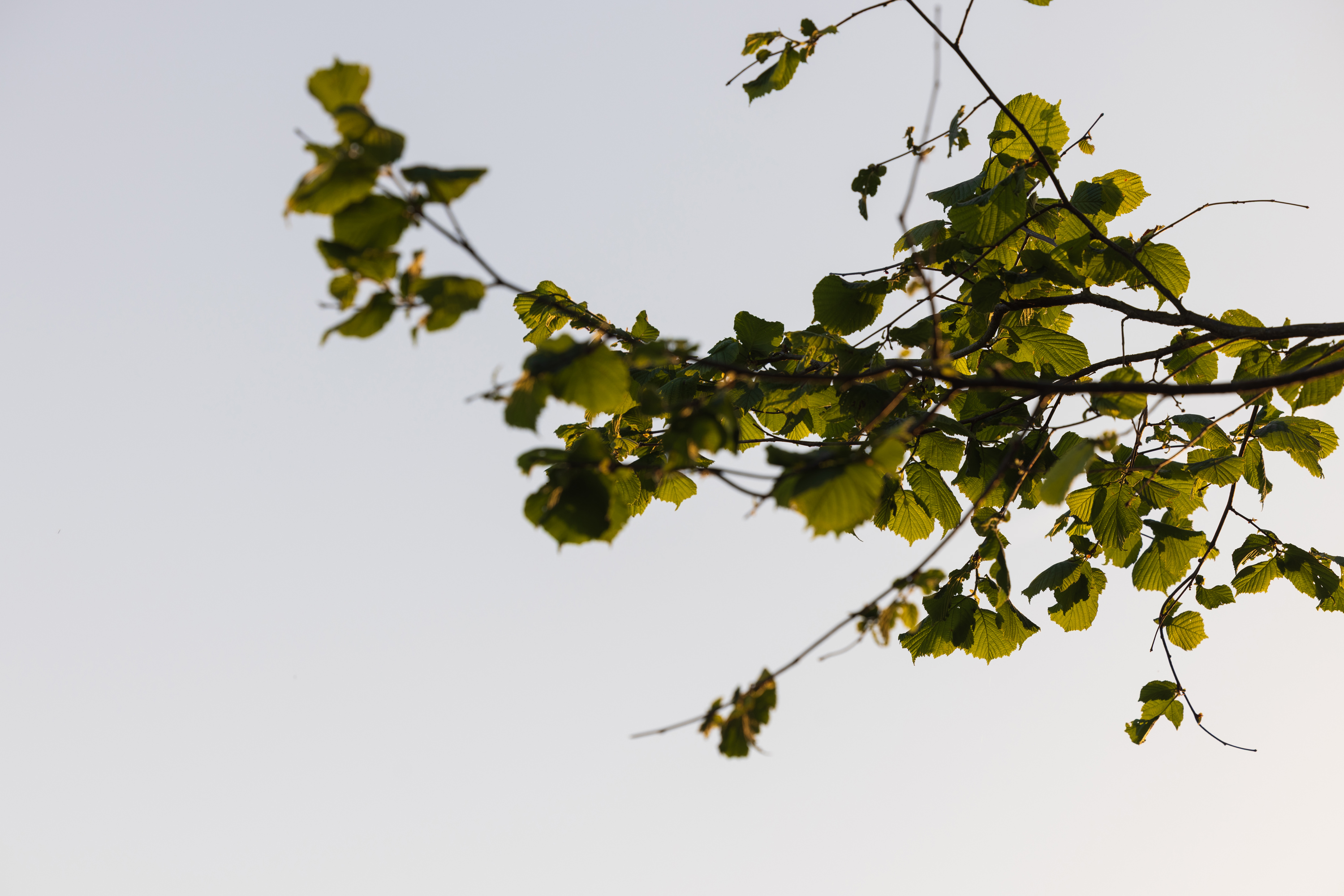 SAW_240526_192