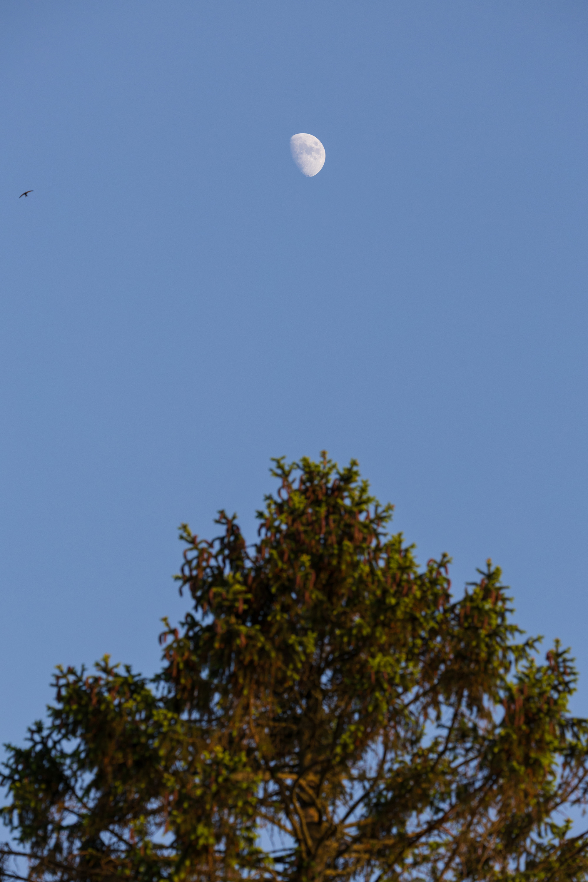 SAW_250526_0667