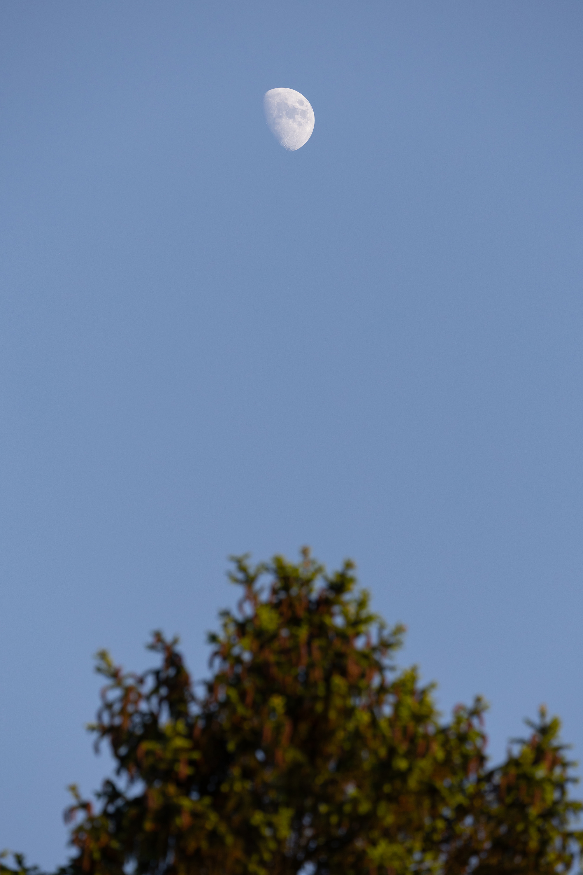 SAW_250526_0670