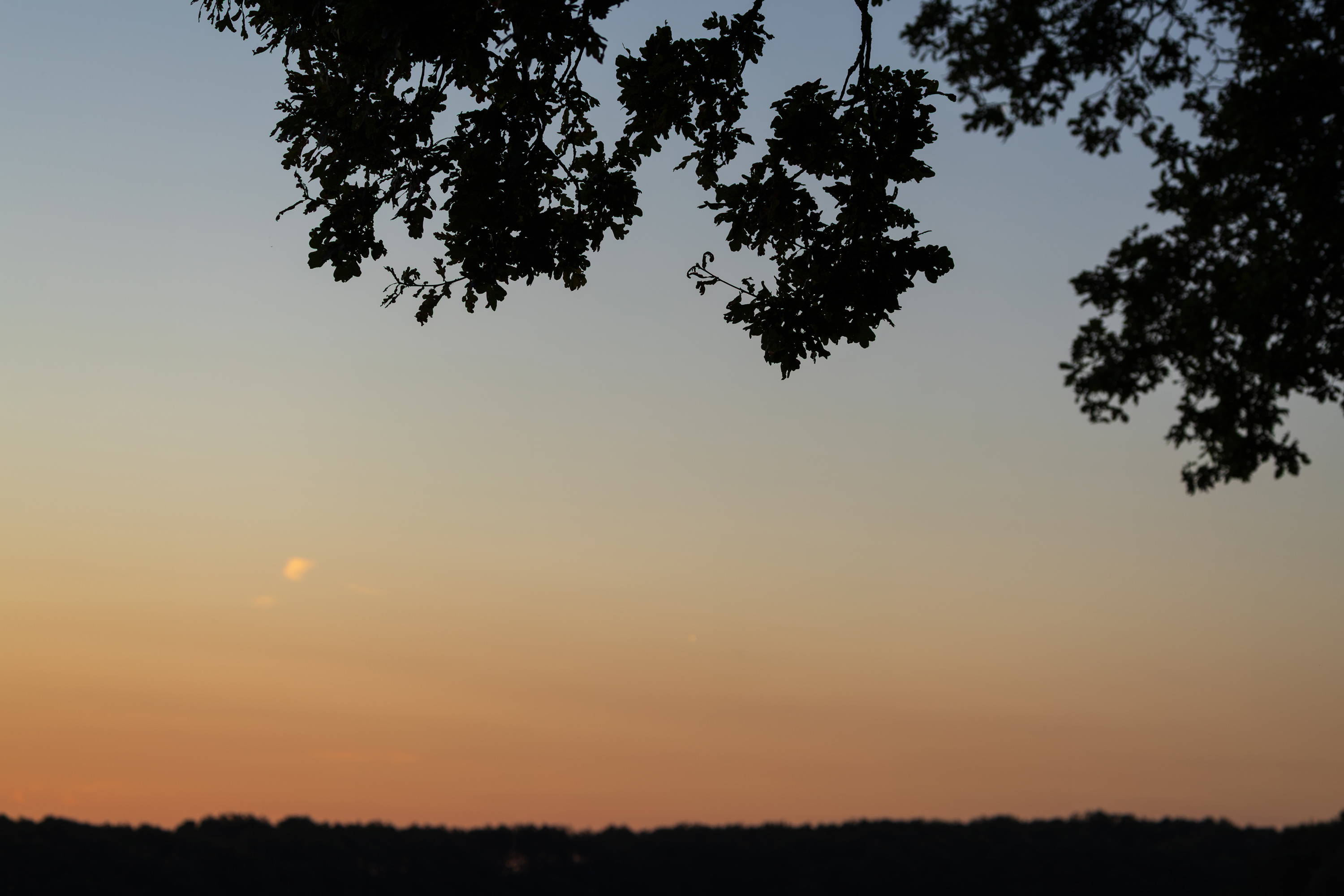 SAW_130826_0214