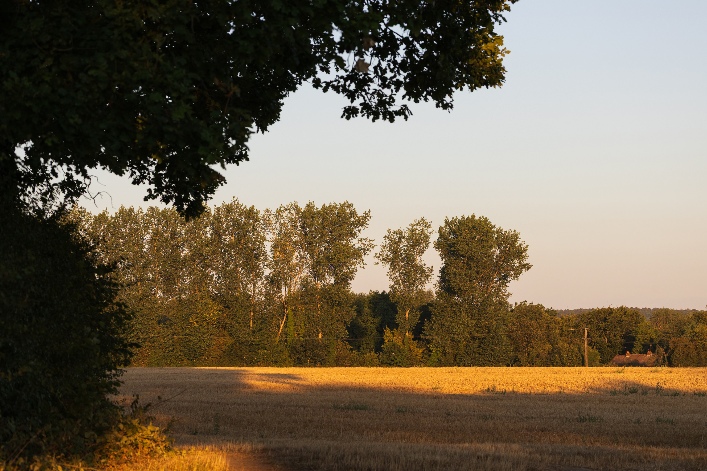 SAW_130826_0711
