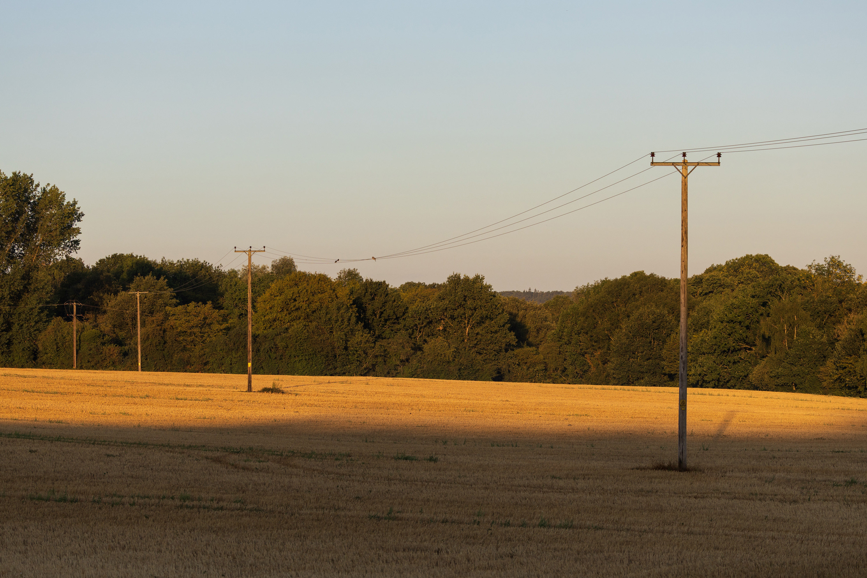 SAW_130826_0756