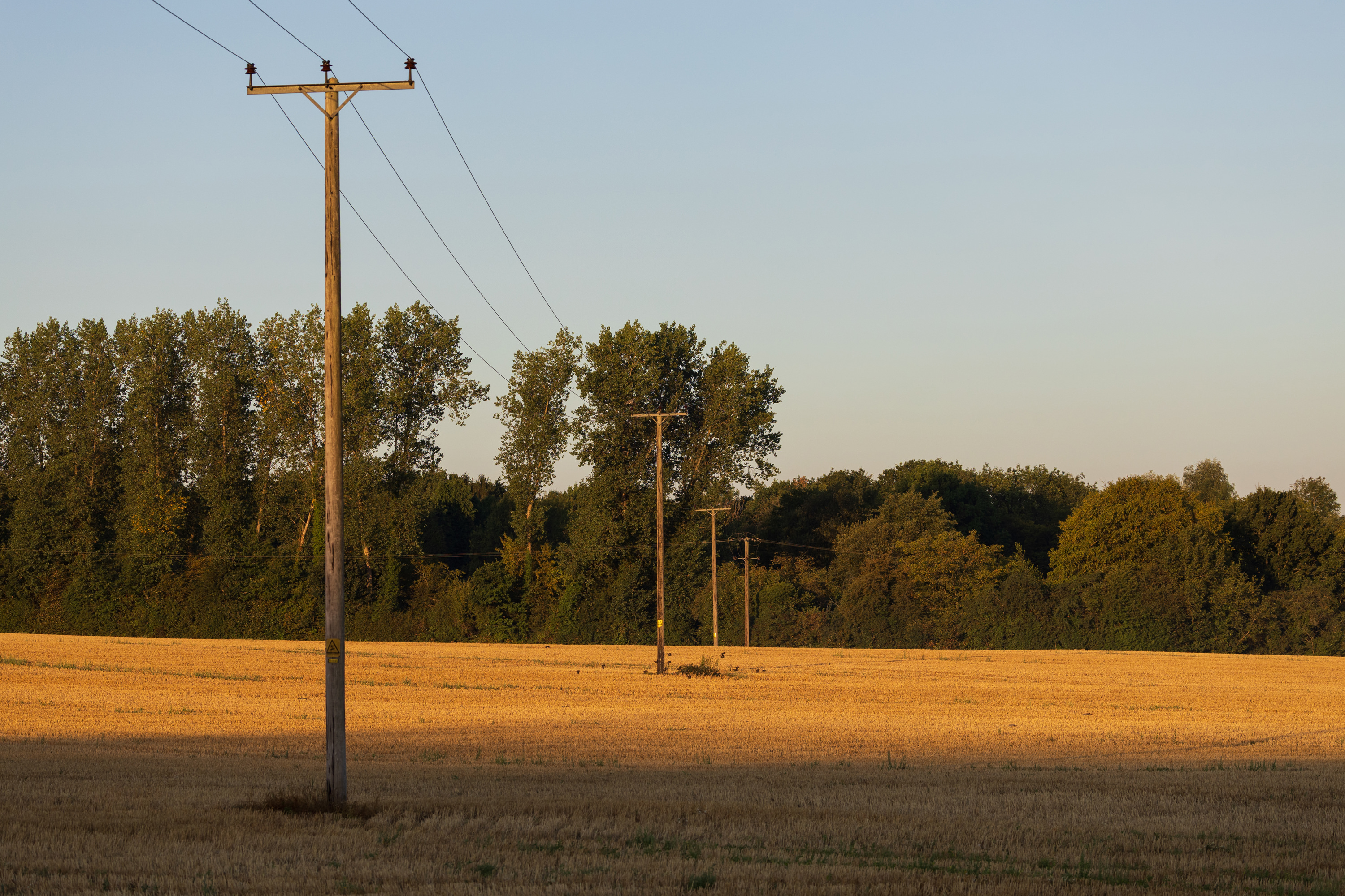 SAW_130826_0778