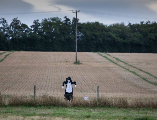 This is Platt – 17 October 2026