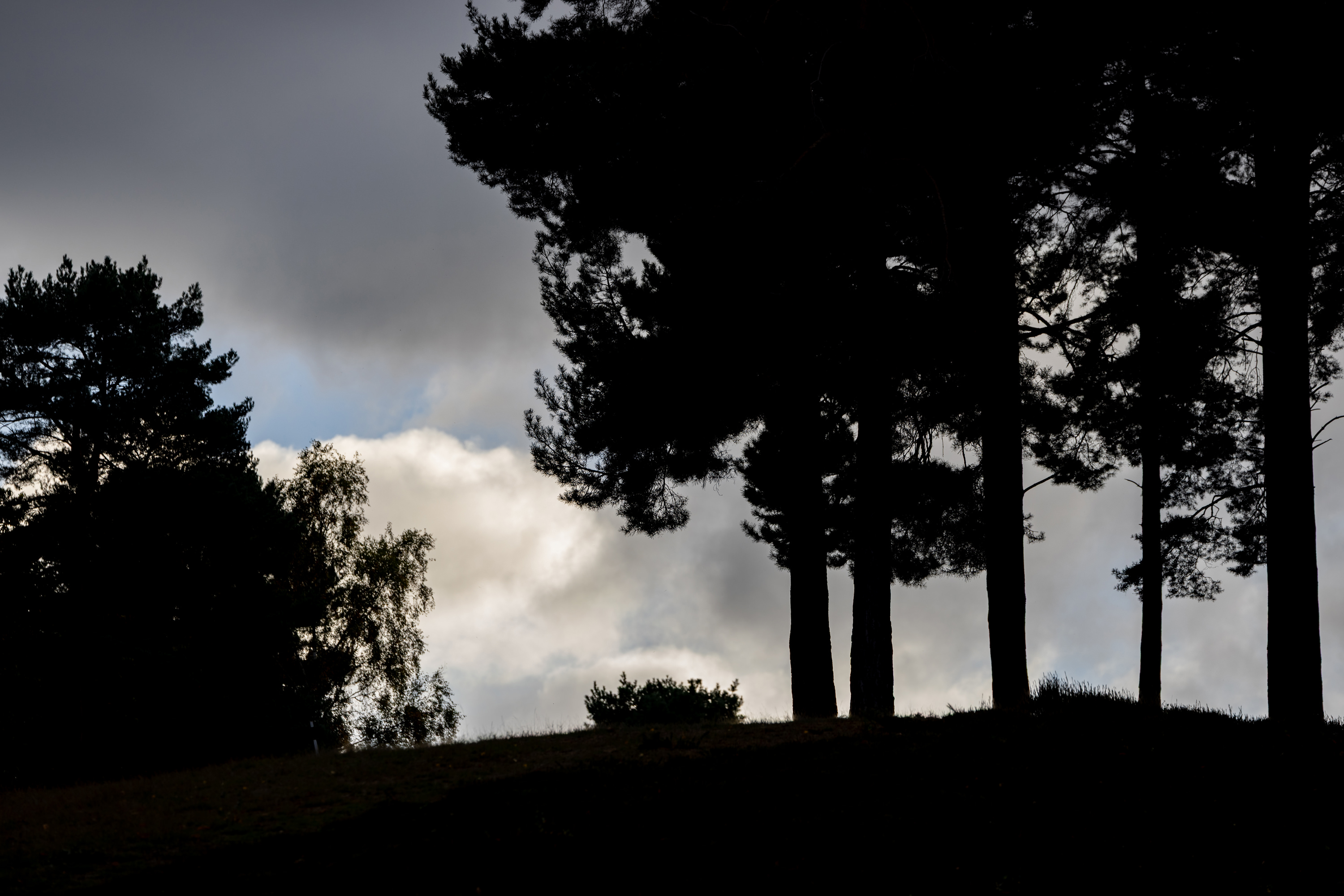 SAW_171026_021