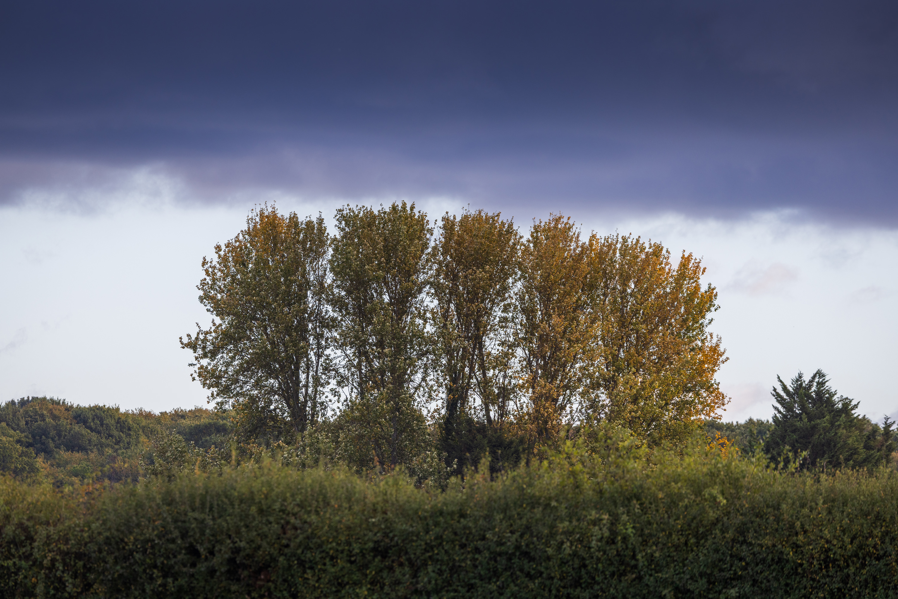 SAW_171026_053