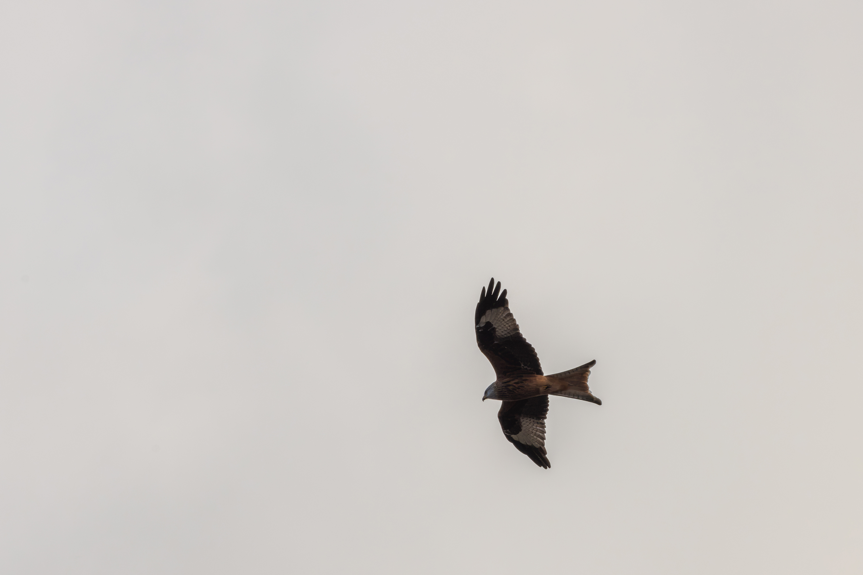 SAW_171026_162