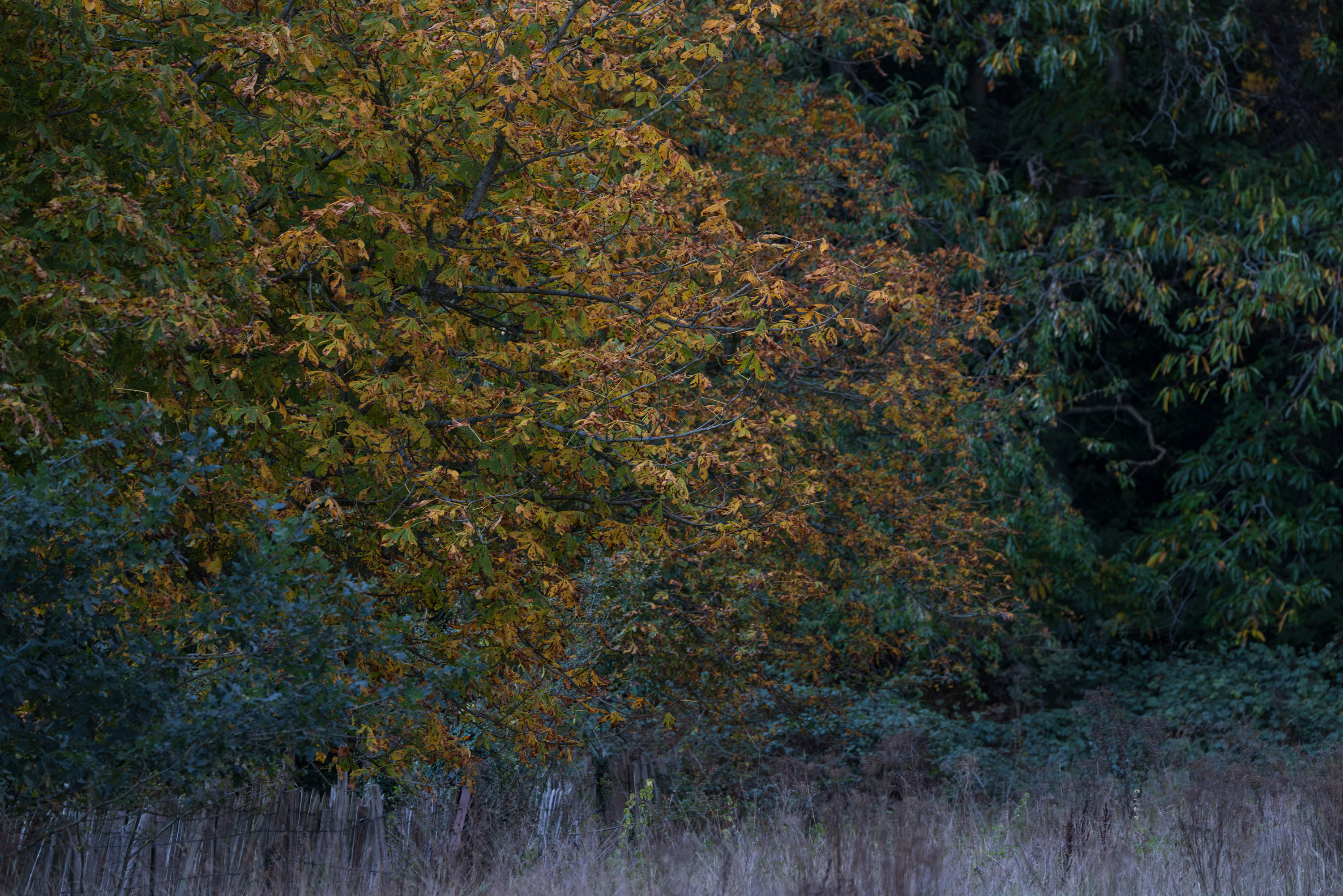 SAW_171026_235