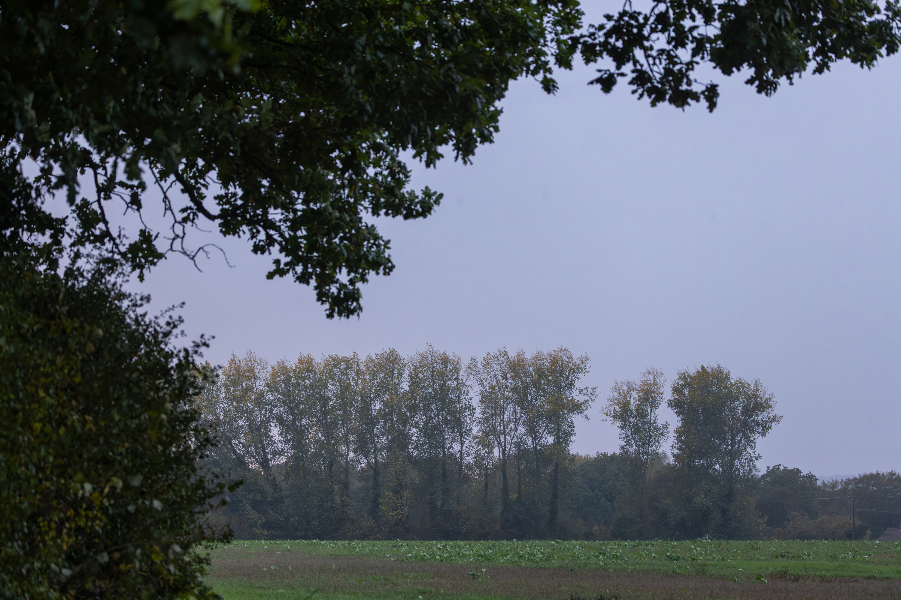 SAW_171026_272