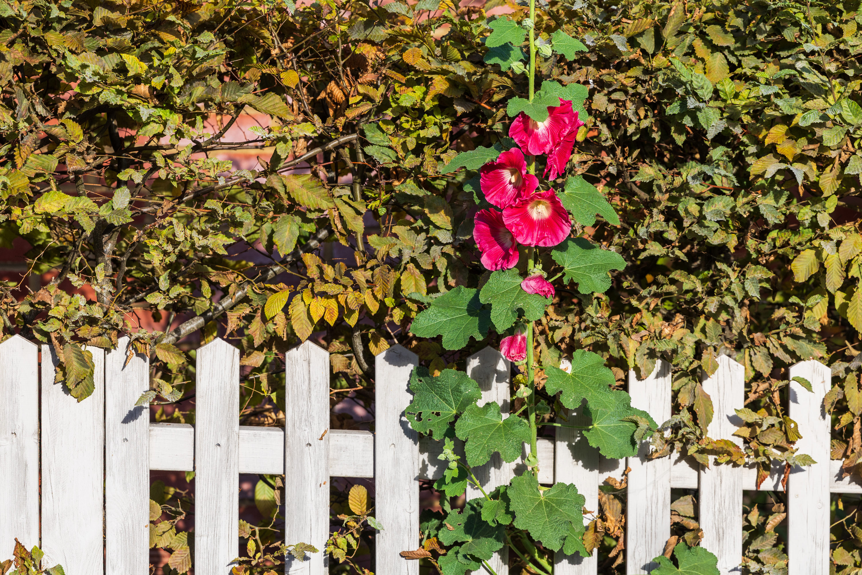 SAW_300926_197